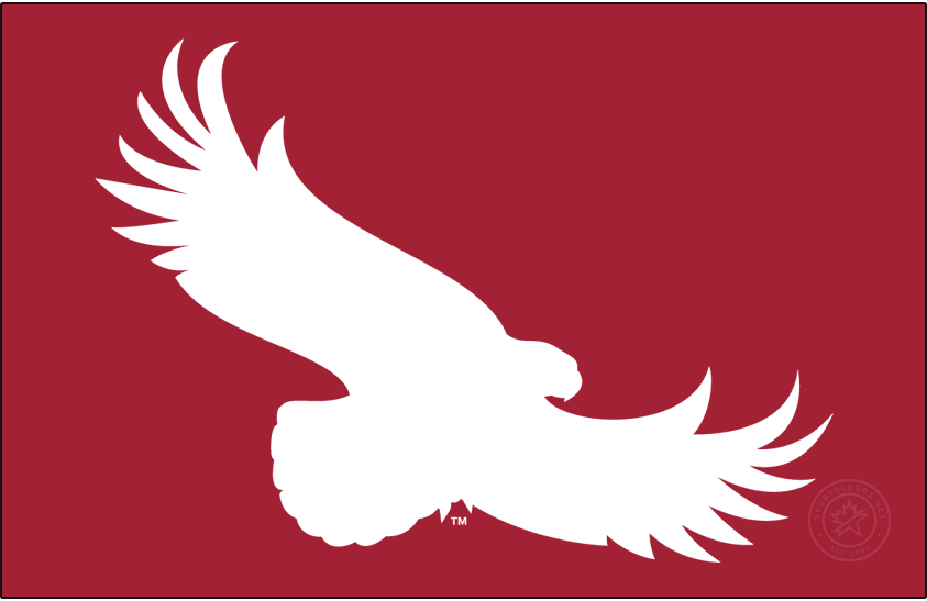 St. Joseph's Hawks 2018-Pres Alt on Dark Logo DIY iron on transfer (heat transfer)